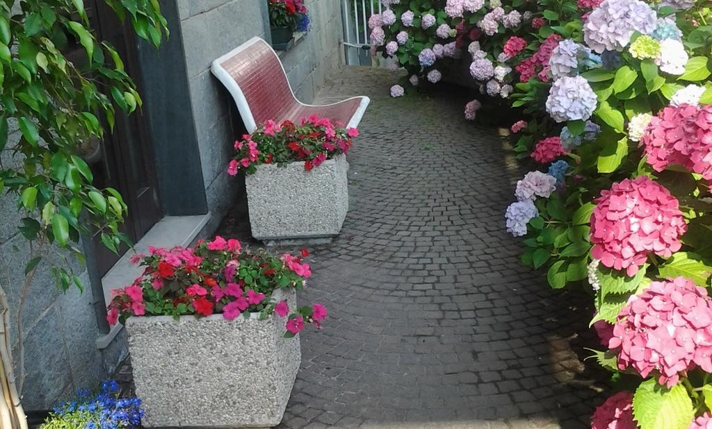 Casa Delle Ortensie Bed and Breakfast Alpignano Zewnętrze zdjęcie